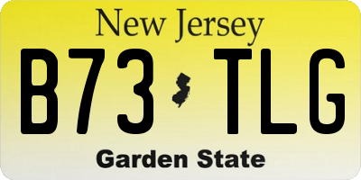 NJ license plate B73TLG
