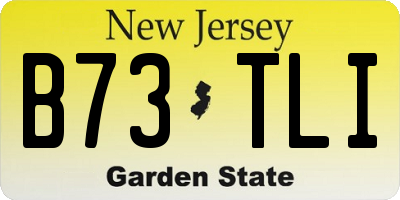 NJ license plate B73TLI