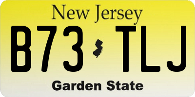 NJ license plate B73TLJ