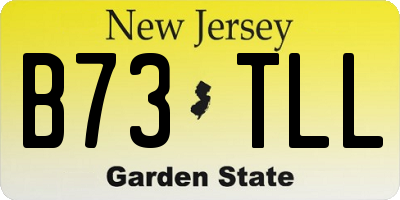 NJ license plate B73TLL