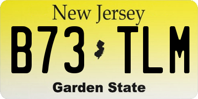 NJ license plate B73TLM