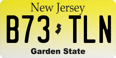 NJ license plate B73TLN