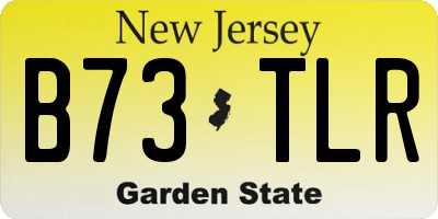 NJ license plate B73TLR