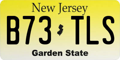NJ license plate B73TLS