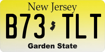 NJ license plate B73TLT