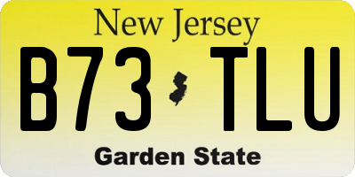 NJ license plate B73TLU