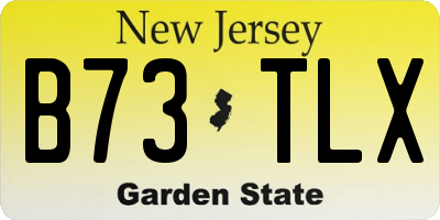 NJ license plate B73TLX