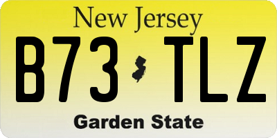 NJ license plate B73TLZ