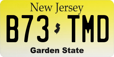 NJ license plate B73TMD