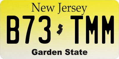 NJ license plate B73TMM