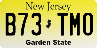NJ license plate B73TMO