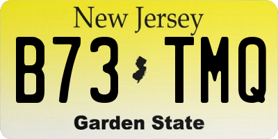 NJ license plate B73TMQ