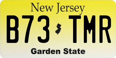 NJ license plate B73TMR