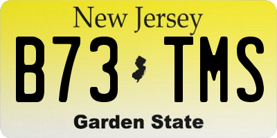 NJ license plate B73TMS