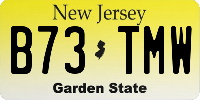 NJ license plate B73TMW