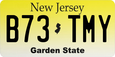 NJ license plate B73TMY