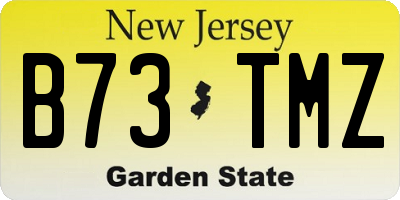 NJ license plate B73TMZ