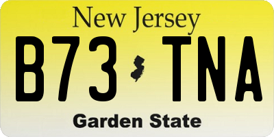 NJ license plate B73TNA