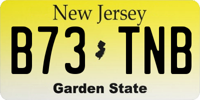 NJ license plate B73TNB