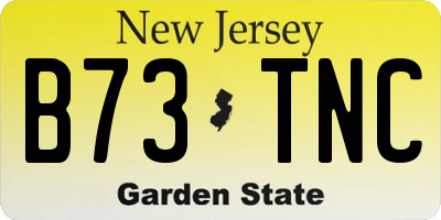 NJ license plate B73TNC