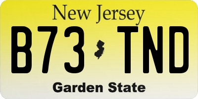 NJ license plate B73TND
