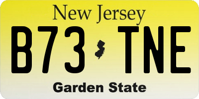 NJ license plate B73TNE