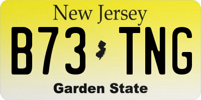 NJ license plate B73TNG