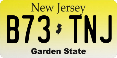 NJ license plate B73TNJ