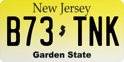 NJ license plate B73TNK