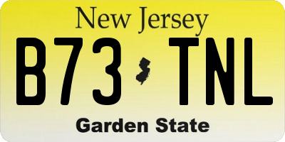 NJ license plate B73TNL