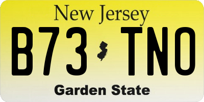 NJ license plate B73TNO