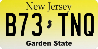 NJ license plate B73TNQ