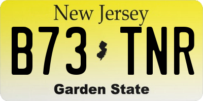 NJ license plate B73TNR