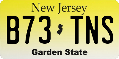NJ license plate B73TNS