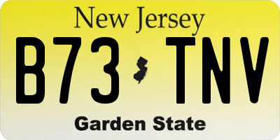 NJ license plate B73TNV