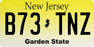 NJ license plate B73TNZ