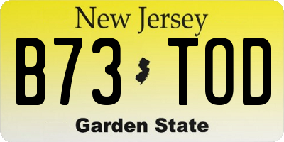 NJ license plate B73TOD