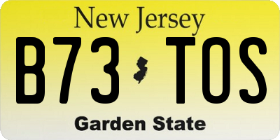 NJ license plate B73TOS