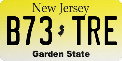 NJ license plate B73TRE