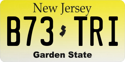 NJ license plate B73TRI