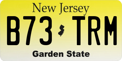 NJ license plate B73TRM