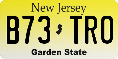 NJ license plate B73TRO
