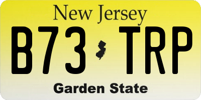 NJ license plate B73TRP