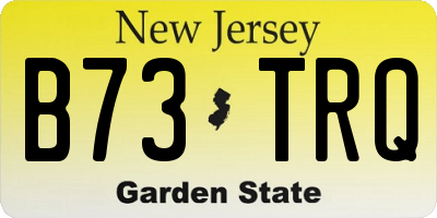 NJ license plate B73TRQ