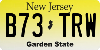 NJ license plate B73TRW