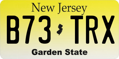 NJ license plate B73TRX