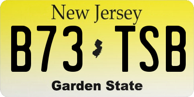 NJ license plate B73TSB
