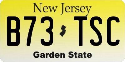 NJ license plate B73TSC