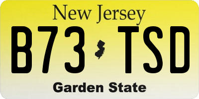 NJ license plate B73TSD