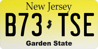 NJ license plate B73TSE
